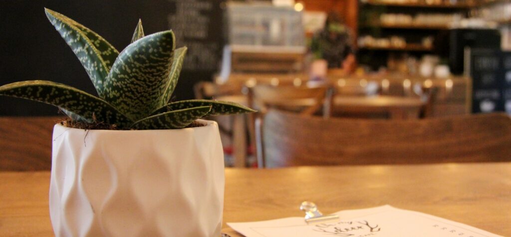 cafe-1